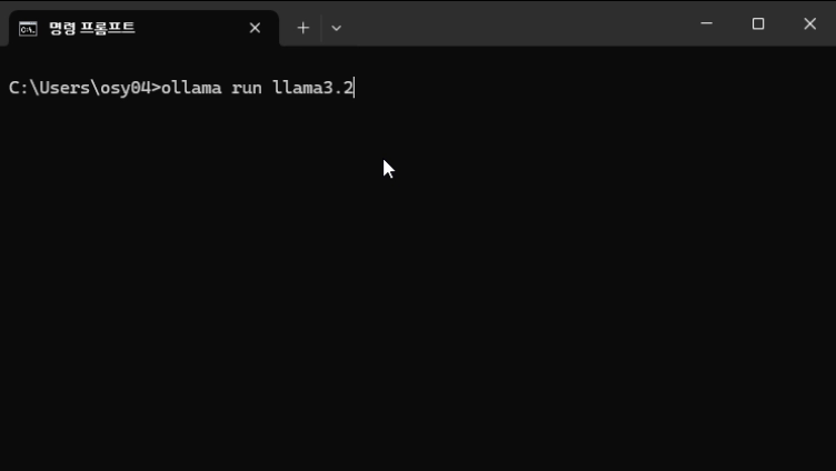 ollama: 인터넷 없이 쓰는 chatGPT? image